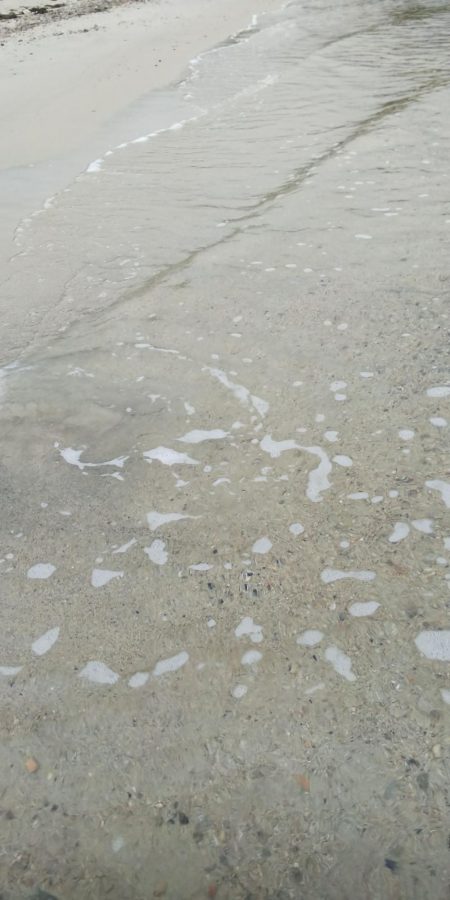 今日も１パイだけ